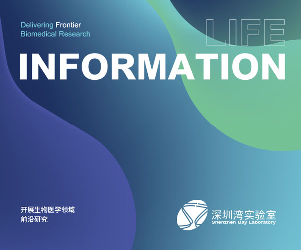 上海logo設計公司:高端酒店設計與品質的完美融合