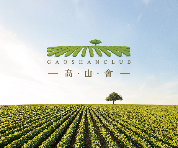 酒店VI設計如何與品牌形象保持一致？